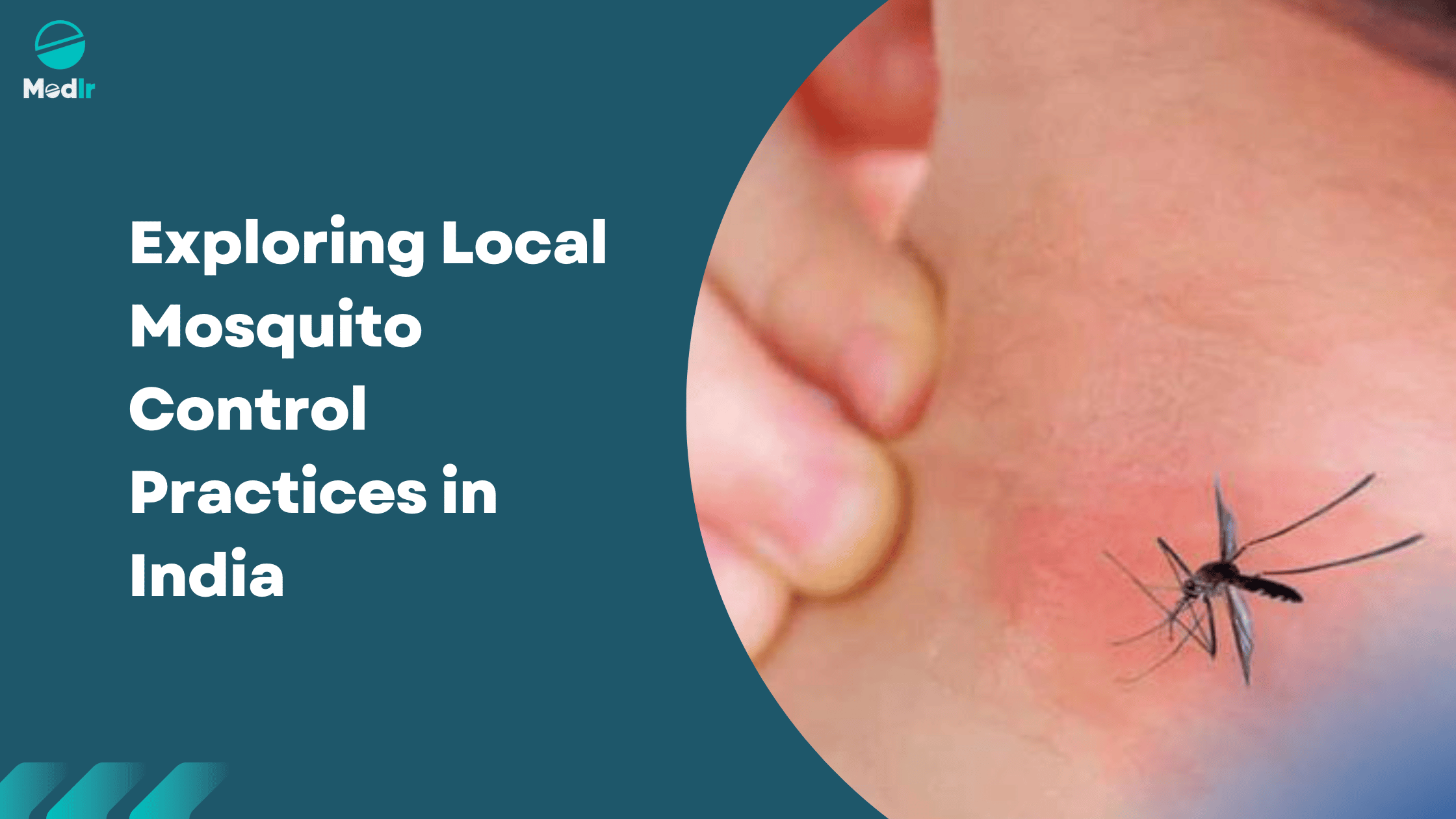 Exploring Local Mosquito Control Practices in India